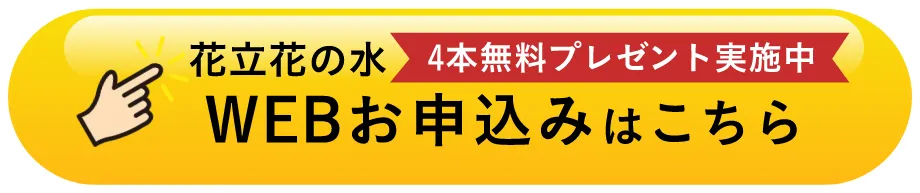 WEBで簡単お申し込み